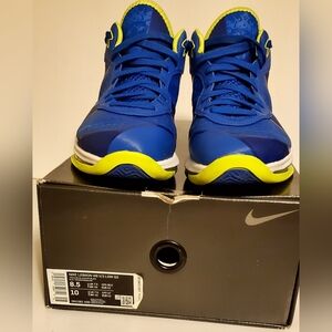 Nike LeBron James VIII V/2 low qs